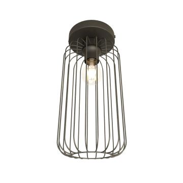 Emibig BARN 1367/1 Lampe de plafond 1x15W/E27 IP20
