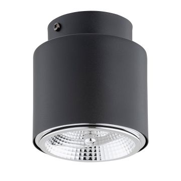 Emibig NANO 1310/1 Spot en saillie 1x15W/GU10 AR111 IP20