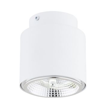Emibig NANO 1311/1 Spot en saillie 1x15W/GU10 AR111 IP20