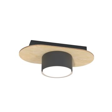 Emibig DIAZ 1438/1 Lampe de plafond 1x10W/GX53 IP20