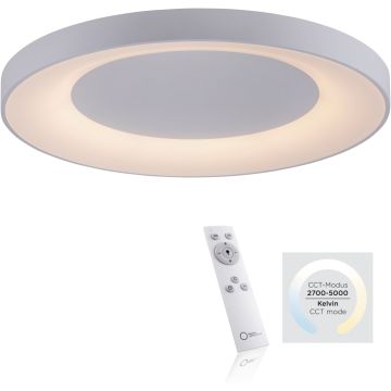 Paul Neuhaus ANIKA 14327-16 Plafonnier 1x60W/LED 2700-5000k 6600lm ip20