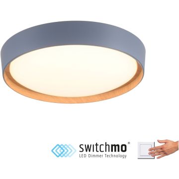 Paul Neuhaus EMILIA 14347-15 Lampe de plafond 1x32W/LED 3000k 3400lm ip20