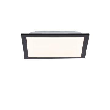 Paul Neuhaus FLAT 14740-18 Panneau LED 1x6W/LED 3000K 485LM IP20