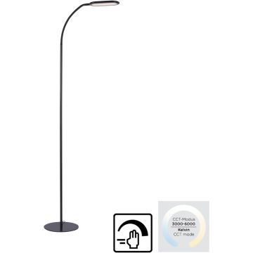 Paul Neuhaus KELLY 14406-18 Lampadaire 1x10W/LED 3000-6000k 1180lm ip20