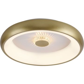 Paul Neuhaus VERTIGO 14384-60 Lampe de plafond 1x29W/LED 2700-5000k 1400lm ip20