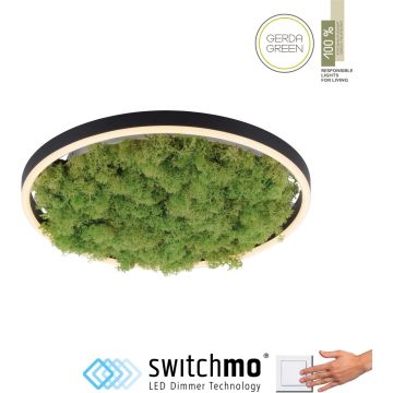 Paul Neuhaus GREEN RITUS 15391-66 Lampe de plafond 1x20W/LED 3000k 630lm ip20
