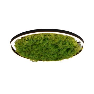 Paul Neuhaus GREEN RITUS 15392-66 Lampe de plafond 1x28W/LED 3000k 960lm ip20