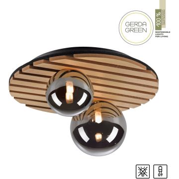 Paul Neuhaus GREEN STIKA 15208-79 Lampe de plafond 2x5W/G9 ip20