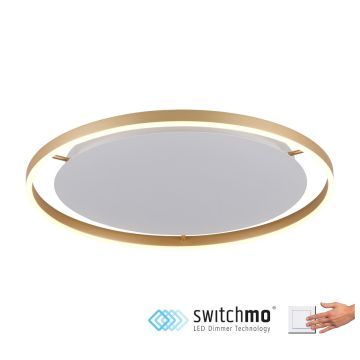 Paul Neuhaus RITUS 15392-60 Plafonnier 1x28W/LED 3000K 1550LM IP20
