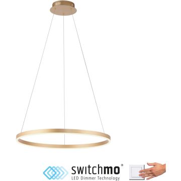 Paul Neuhaus RITUS 15394-60 Suspension lumineuse 1x31,5W/LED 3000k 3650lm ip20