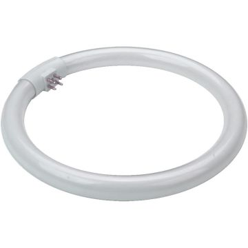 Prezent OTHERS BULBS 17007 TUBE Ampoule 28w/t5