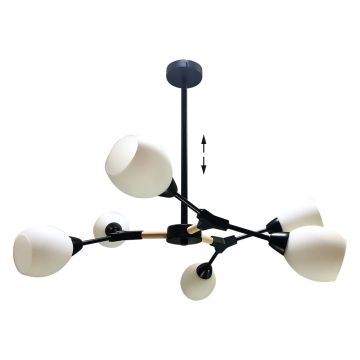 Prezent CITTERIO 18300 Lampe de plafond 6x40W/E14 IP20