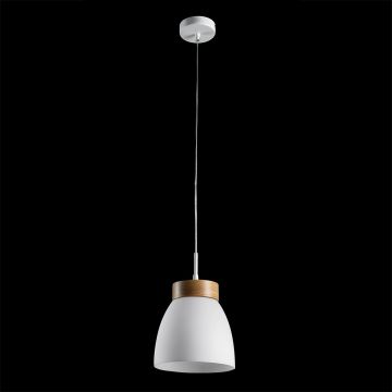Prezent FOCUS 18068 Suspension lumineuse 1x40W/E27 IP20