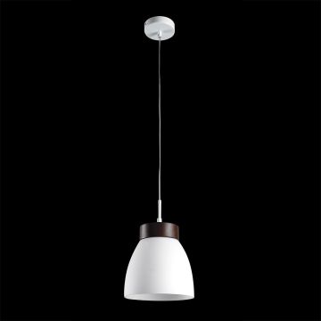 Prezent FOCUS 18069 Suspension lumineuse 1x40W/E27 IP20