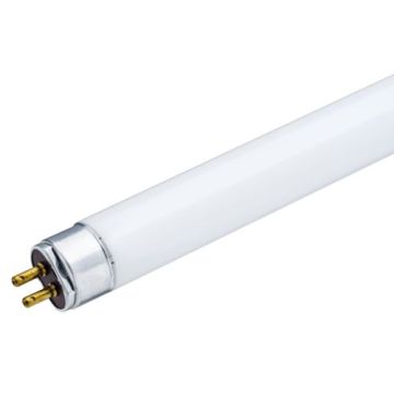 Prezent PICASSO CLASSIC 181 TUBE Ampoule 8w/t5 2700k