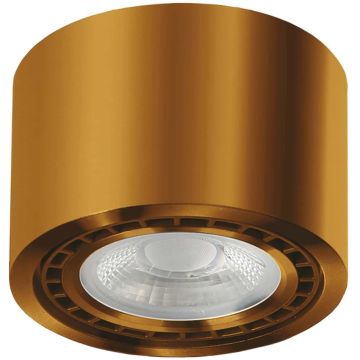 AZzardo ECO ALIX AZ3496 Spot en saillie 1x35W/GU10/ES111 IP20