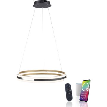 Paul Neuhaus Q-BELUGA 2051-60 Suspension lumineuse 1x62W/LED 2700-5000k 6900lm ip20
