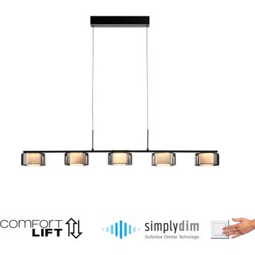Paul Neuhaus RIKA 2116-18 Suspension lumineuse 5x42W/LED 3000k 5000lm ip20