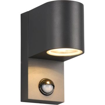Trio ROYA 214260142 Applique murale 1x35w/gu10 ip44