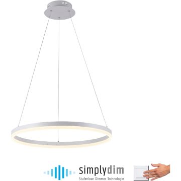 Paul Neuhaus TITUS 2382-16 Suspension lumineuse 1x44W/LED 3000k 5250lm ip20