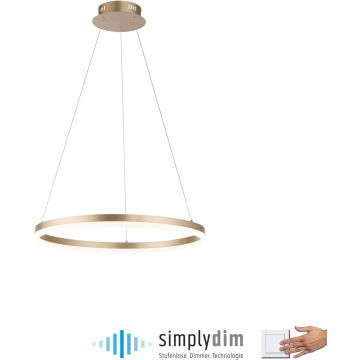 Paul Neuhaus TITUS 2382-60 Suspension lumineuse 1x44W/LED 3000k 5250lm ip20
