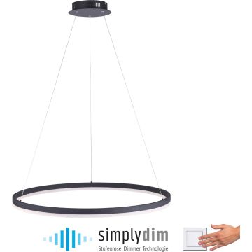 Paul Neuhaus TITUS 2383-13 Suspension lumineuse 1x61W/LED ip20