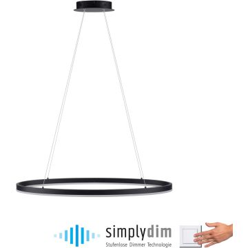 Paul Neuhaus TITUS 2392-13 Suspension lumineuse 1x38W/LED 3000k 1800lm ip20