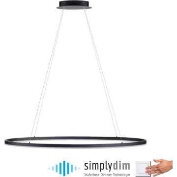 Paul Neuhaus TITUS 2393-13 Suspension lumineuse 1x57,5W/LED 3000k 2700lm ip20