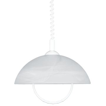 Prezent ALBERT 23068 Suspension lumineuse 1x60W/E27 IP20