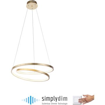 Paul Neuhaus ROMAN 2472-12 Suspension lumineuse 1x32W/LED 3000k 4000lm ip20