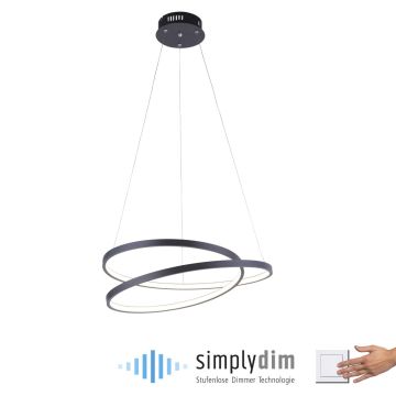 Paul Neuhaus ROMAN 2472-18 Suspension lumineuse 1x32W/LED 3000k 4000lm ip20