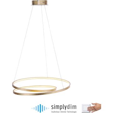 Paul Neuhaus ROMAN 2474-12 Suspension lumineuse 1x46W/LED 3000k 5100lm ip20