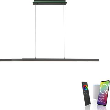 Paul Neuhaus Q-ARIAN 2569-13 Suspension lumineuse 4x55W/LED 2700-5000k 5520lm ip20