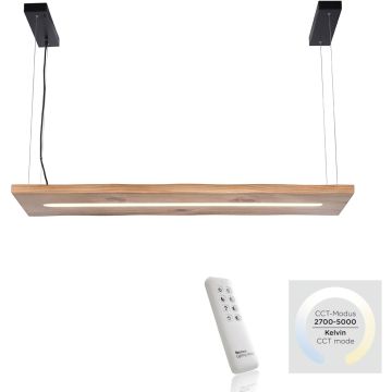 Paul Neuhaus PALMA 2625-79 Suspension lumineuse 1x27W/LED 2700-5000k 2750lm ip20