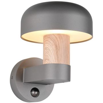 Trio FRASER 262569135 Applique murale 1x10w/e27 ip54