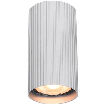 Italux Rilok CLN-83920-S-ALU Spot en saillie 1x10W/GU10 IP20