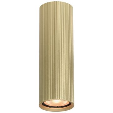 Italux Rilok CLN-83920-M-GD Spot en saillie 1x10W/GU10 IP20