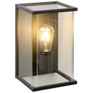 Lucide CLAIRE 27883/01/30 Applique murale 1x60w/e27 ip54