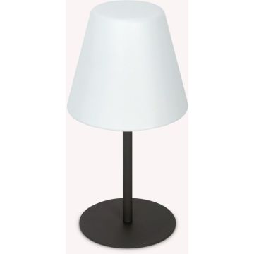 Ideal Lux ARCADIA 298597 Lampe de table 1x42W/E27 ip44