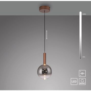 Paul Neuhaus BOWL 2284-23 Suspension lumineuse 1x7,4W/LED 2700k 300lm ip20