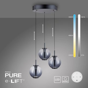 Paul Neuhaus PURE E-Infinity 2222-15 Suspension lumineuse 3x7W/LED 2200-5000k 520lm ip20