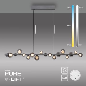 Paul Neuhaus PURE E-POPUP 2558-15 Suspension lumineuse 18x1,8W/LED 2200-5000k 1070lm ip20