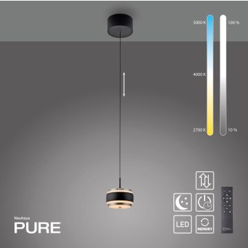 Paul Neuhaus PURE FALLING RINGS 2503-18 Suspension lumineuse 1x8W/LED 2200-5000k 310lm ip20