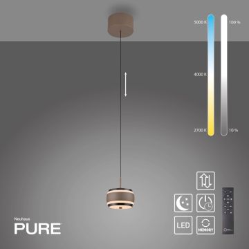 Paul Neuhaus PURE FALLING RINGS 2503-97 Suspension lumineuse 1x8W/LED 2200-5000k 310lm ip20