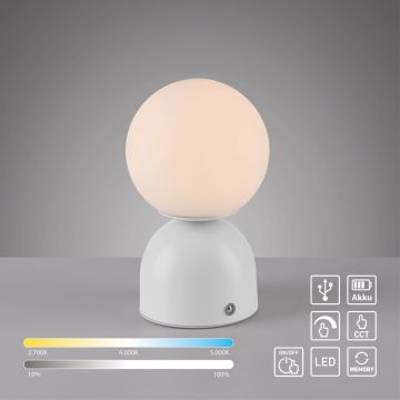 Paul Neuhaus RUDI 19218-16 Lampe de table 1x1,2W/LED 3000-6000k 90lm ip20