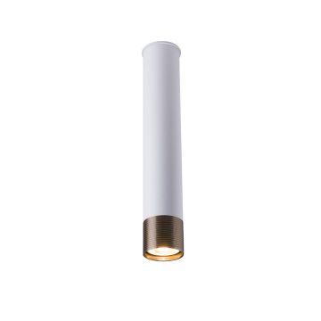 Antigo Eido 8251 Spot en saillie 1x10W/GU10 IP20