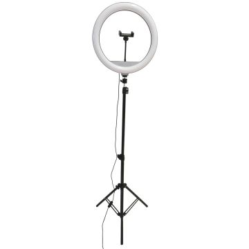 Polux SELFIE 327598 Lampe de bureau 1x15W/LED 2700K-4000K-6000K 330lm IP20
