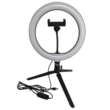 Polux SELFIE 327604 Lampe de bureau 1x10W/LED 2700K-4000K-6000K 240lm IP20
