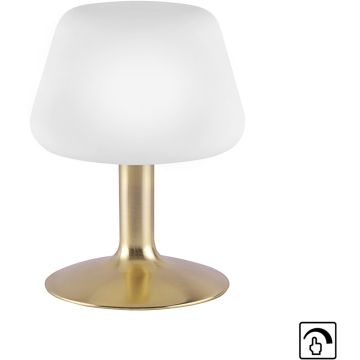 Paul Neuhaus TILL 4078-60 Lampe de table 1x2,6W/G9 ip20