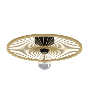 Eglo LEOMINSTER 43883 Lampe de plafond 1x40W/E27 IP20